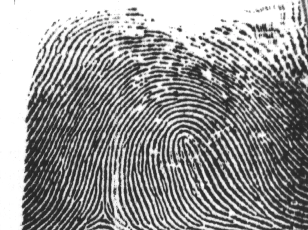 Rolled fingerprint impression, the subject